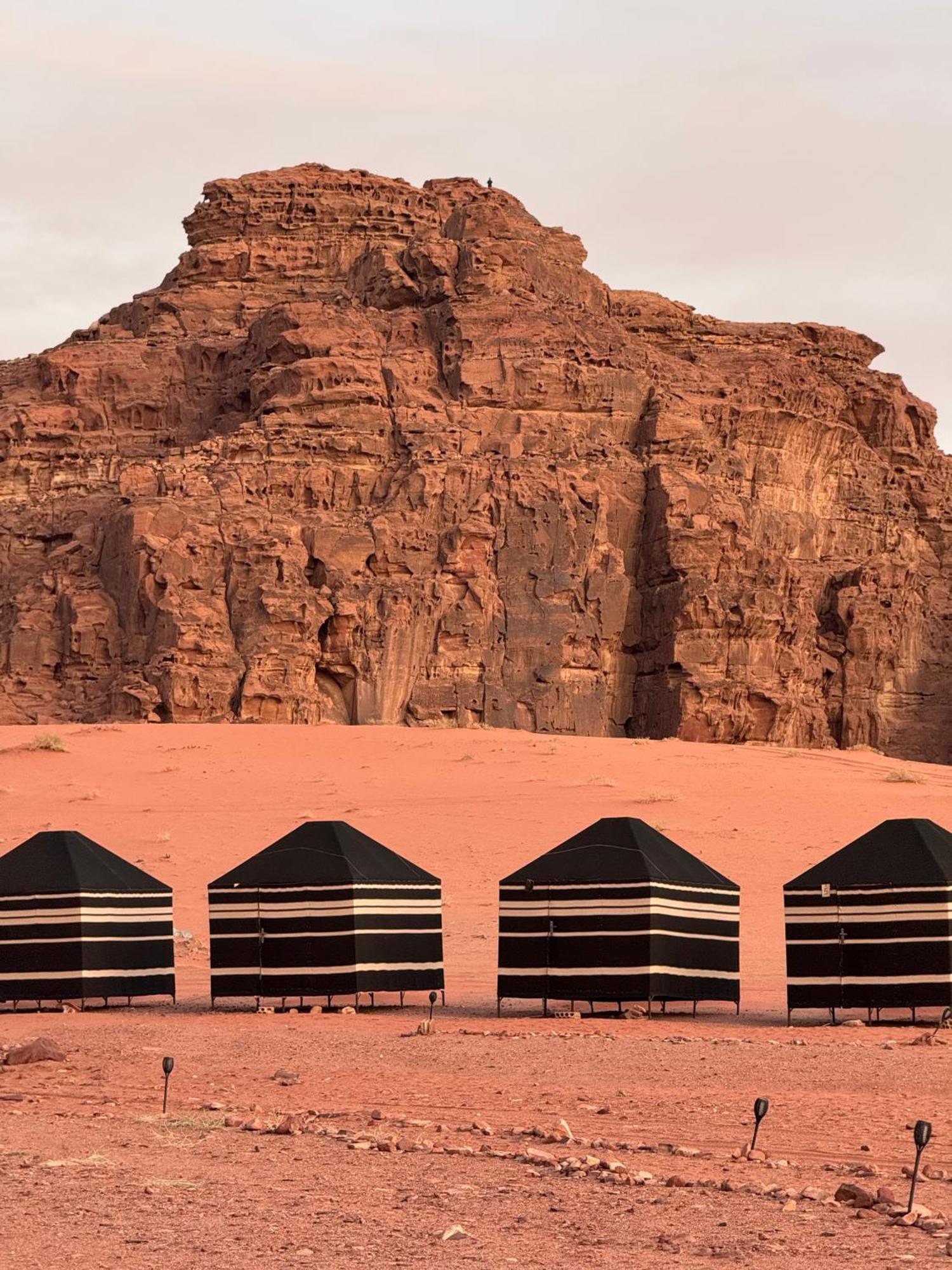 Desert Bird Camp Wadi Rum Exterior photo